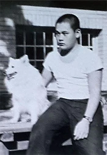 온라인 커뮤니티 더쿠