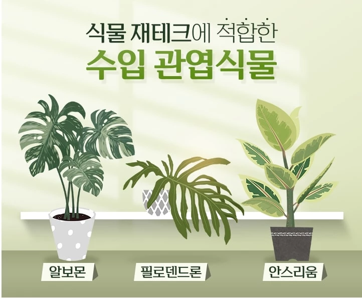 하나은행