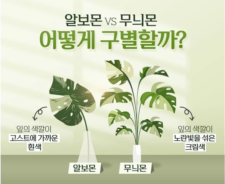 하나은행
