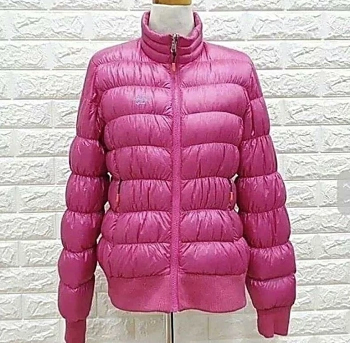 이하 와이고수