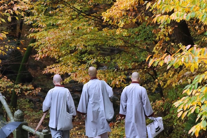 기사와 무관한 사진