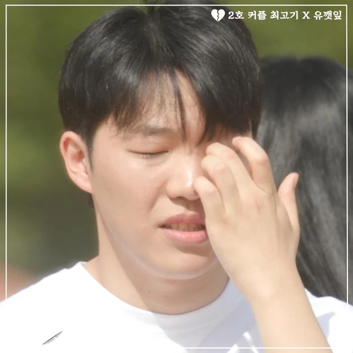 최고기