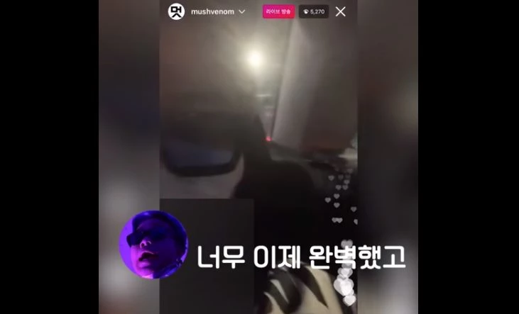 이하 유튜브 '딩고프리스타일망해라'