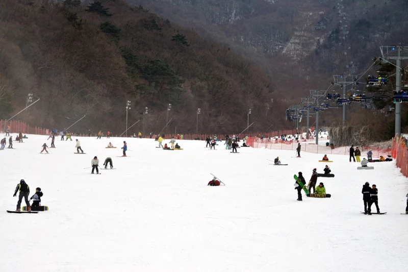 전북 무주 덕유산리조트 풍경 / 무주 덕유산리조트 제공