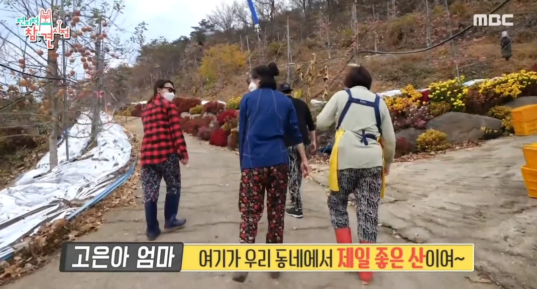이하 MBC '전지적 참견시점'