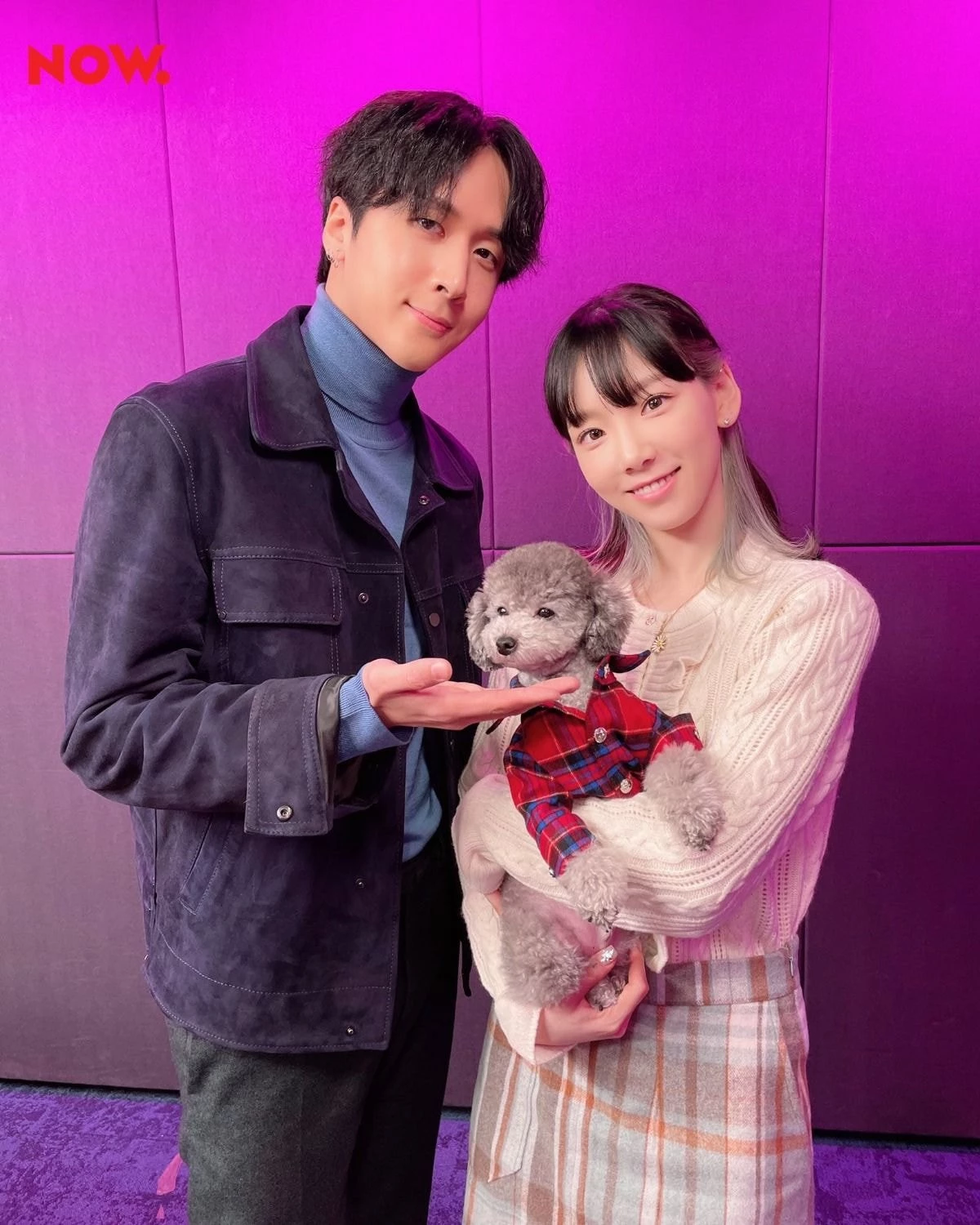 네이버 나우 인스타그램
