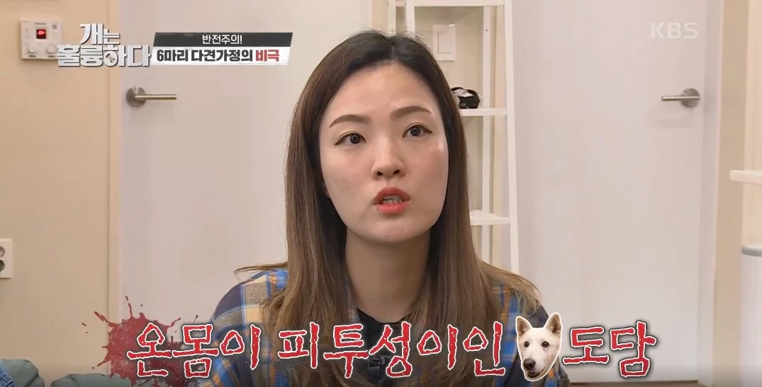 이하 KBS 2TV '개는 훌륭하다'