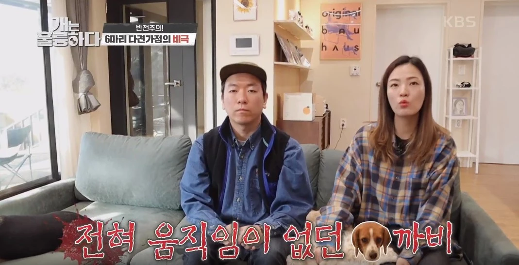 “너무 심각하다...” 개그우먼 장도연 충격받게 한 강아지 싸움 장면 (영상)