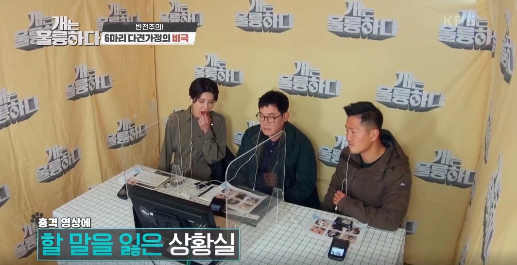“너무 심각하다...” 개그우먼 장도연 충격받게 한 강아지 싸움 장면 (영상)