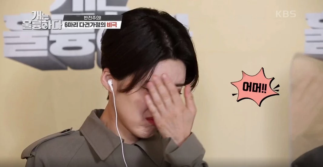 “너무 심각하다...” 개그우먼 장도연 충격받게 한 강아지 싸움 장면 (영상)