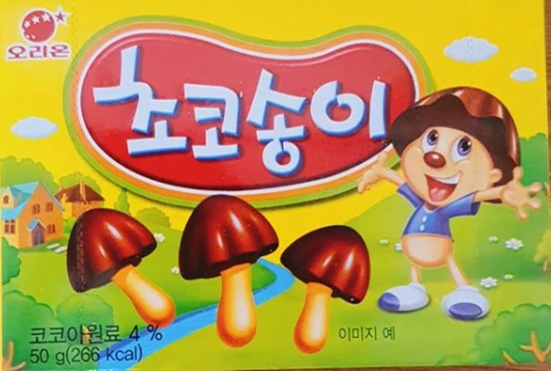 “초코송이에게 36년 만에 동생이 생긴다고 합니다”