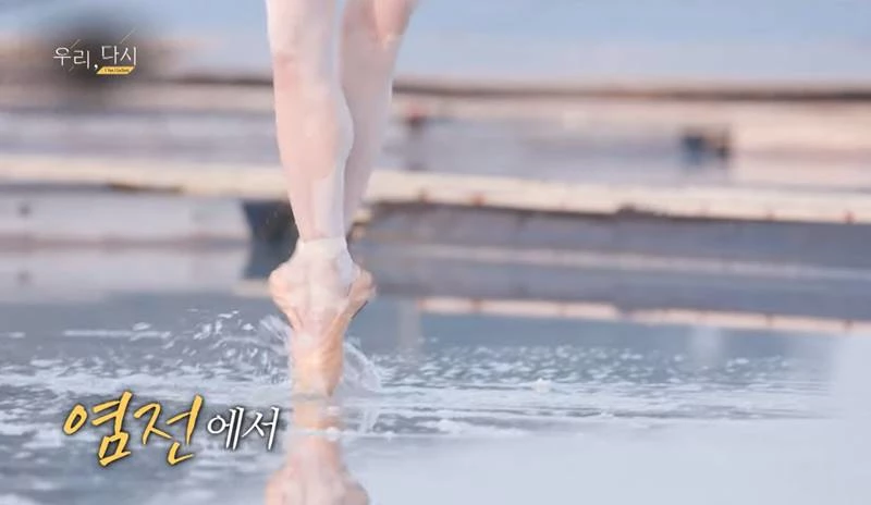 “예술 아닌 폭력” 국립발레단 염전 발레·아스팔트 발레, 심각한 학대논란 터졌다