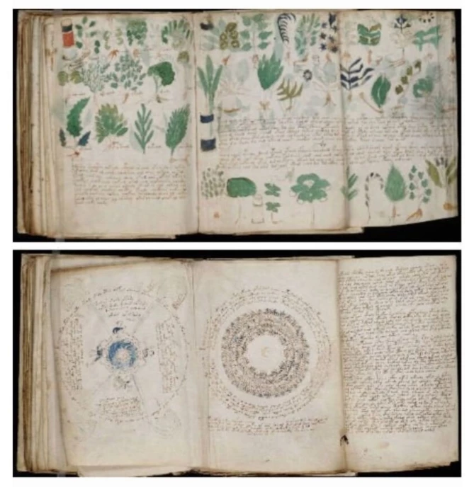 보이니치 필사본