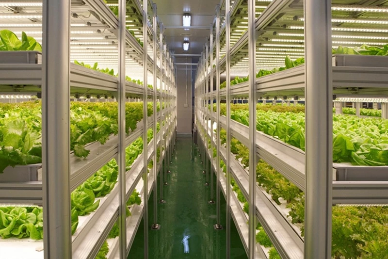 이하 팜에이트 제공