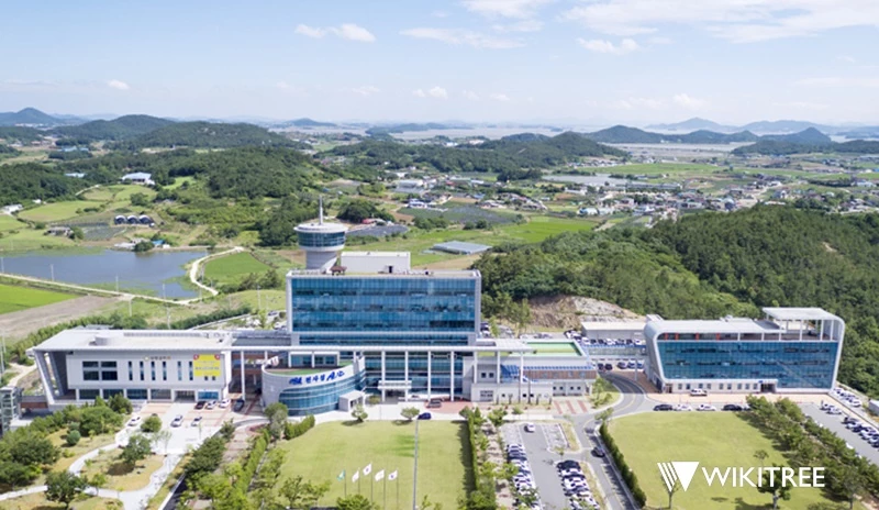 신안군