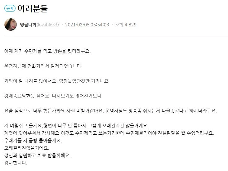 탱글다희 아프리카