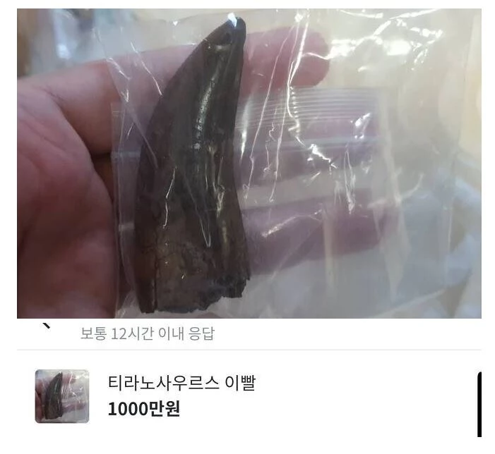 이하 당근마켓