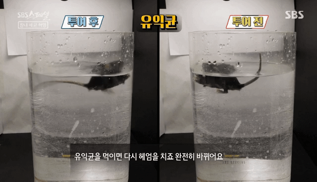 /SBS
