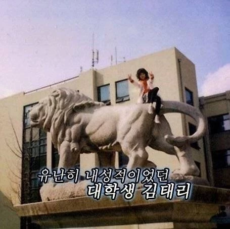 이하 유튜브 '태정태리문단세 [Fan]'