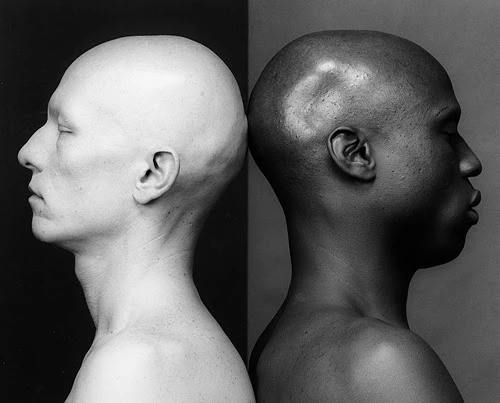 이하 로버트 메이플소프(Robert Mapplethorpe)