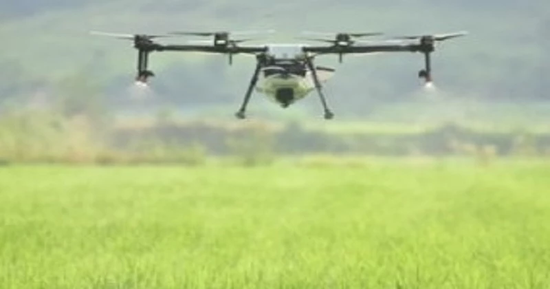 쌀경쟁력 제고(드론) / 김제시