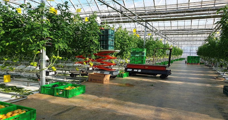 시설원예 현대화 / 김제시