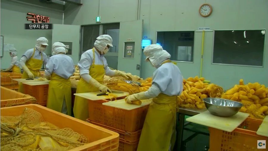 단무지 공장의 모습 / 이하 EBS '극한직업'