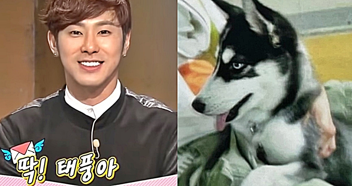 記事 愛犬疑惑 12年間何の消息もない よーちゃみの東方神起ブログ