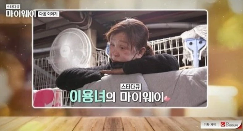 이하 TV조선 '스타다큐 마이웨이'