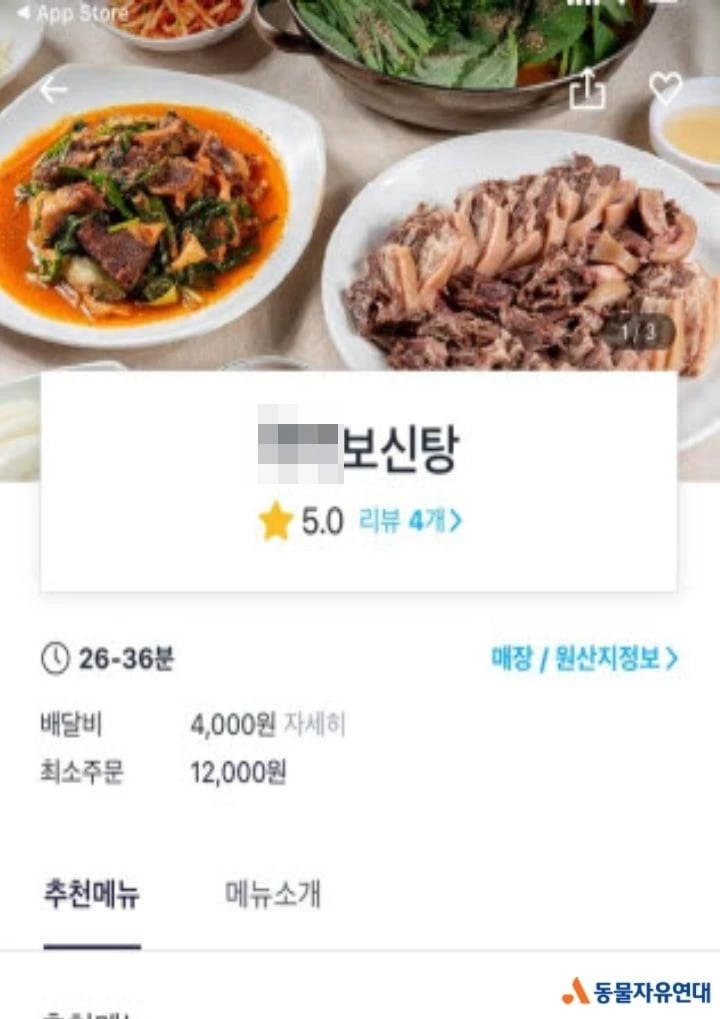 동물자유연대 제공