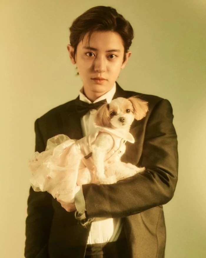 이하 찬열 인스타그램