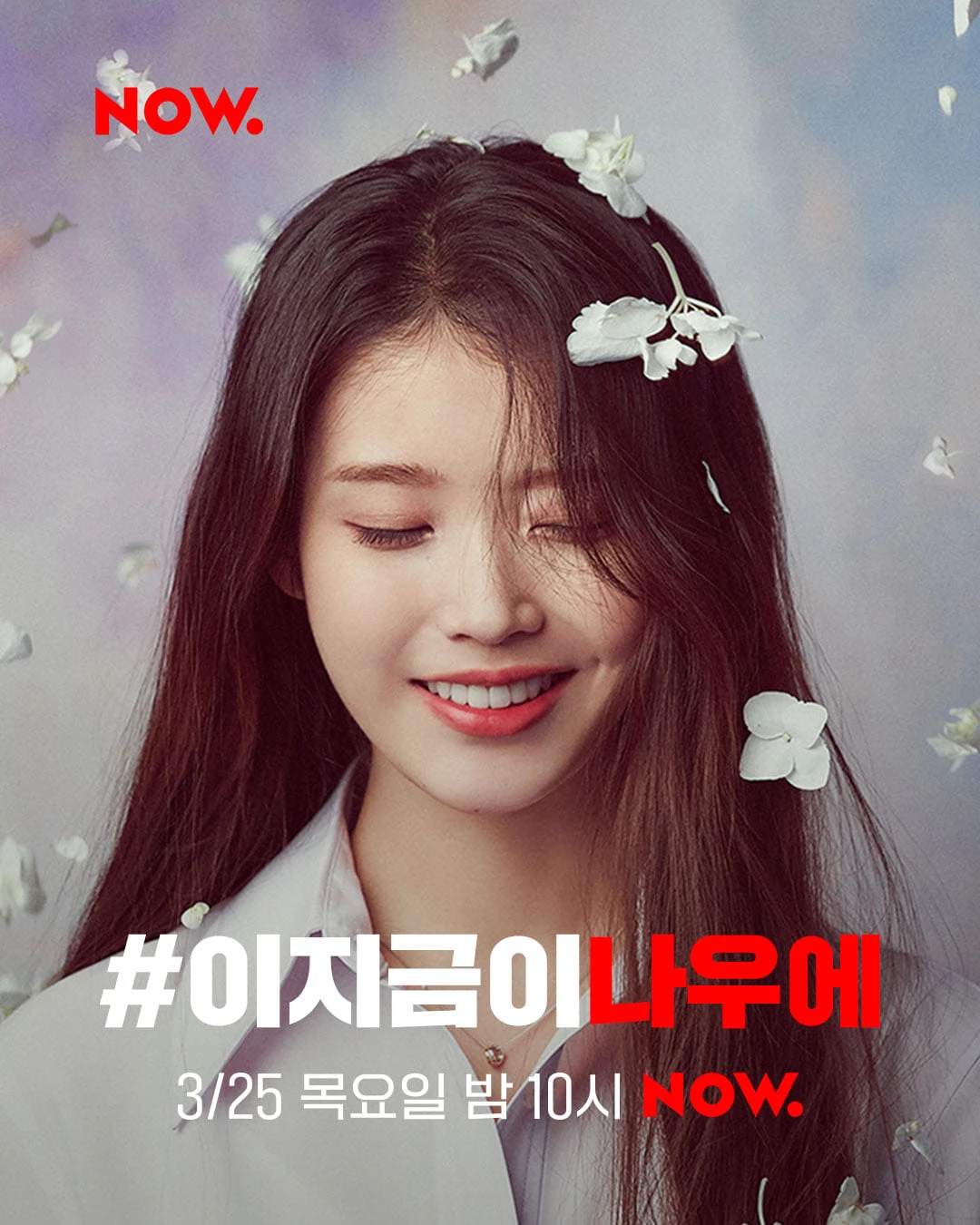 이하 네이버 NOW