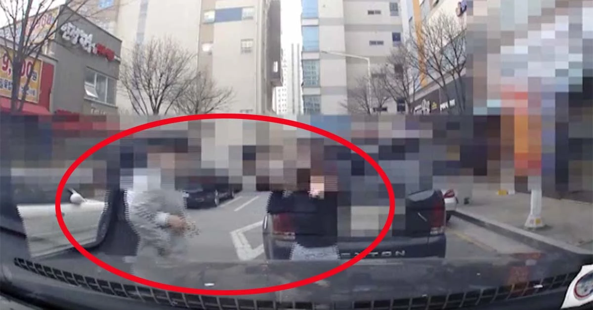 보배드림에 올라온 영상을 캡처한 사진입니다.