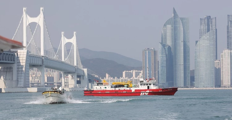 기사와 관련 없는 자료 사진 / 이하 뉴스1