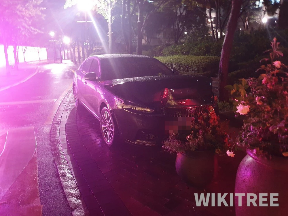 음주운전 사고 현장 / 위키트리