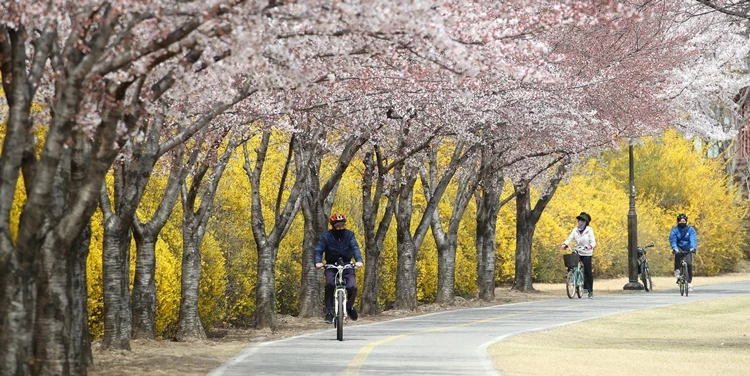 이하 뉴스1