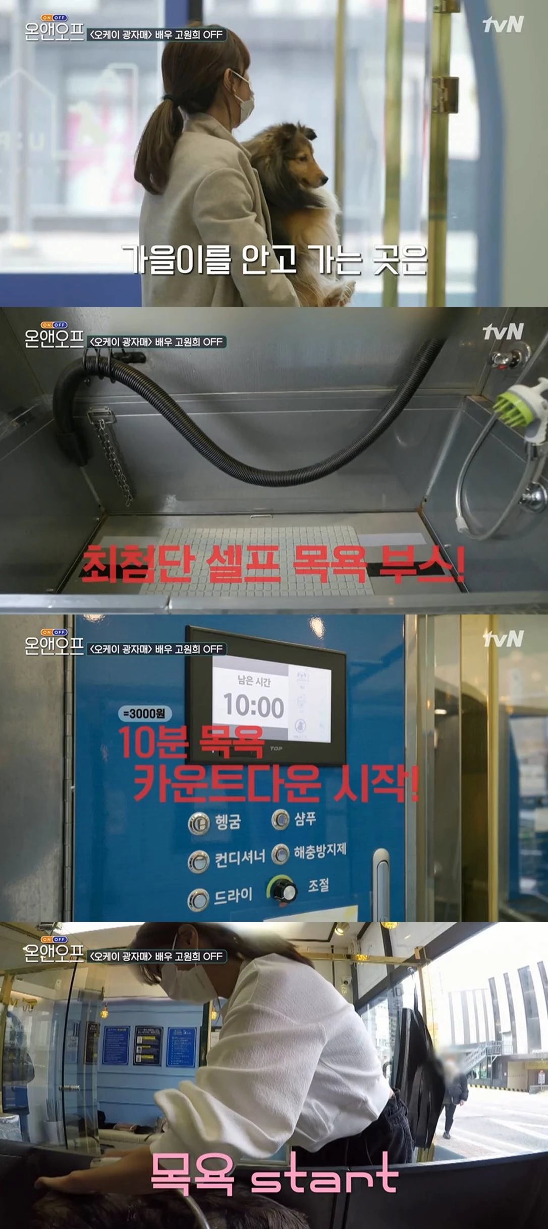 이하 tvN '온앤오프'