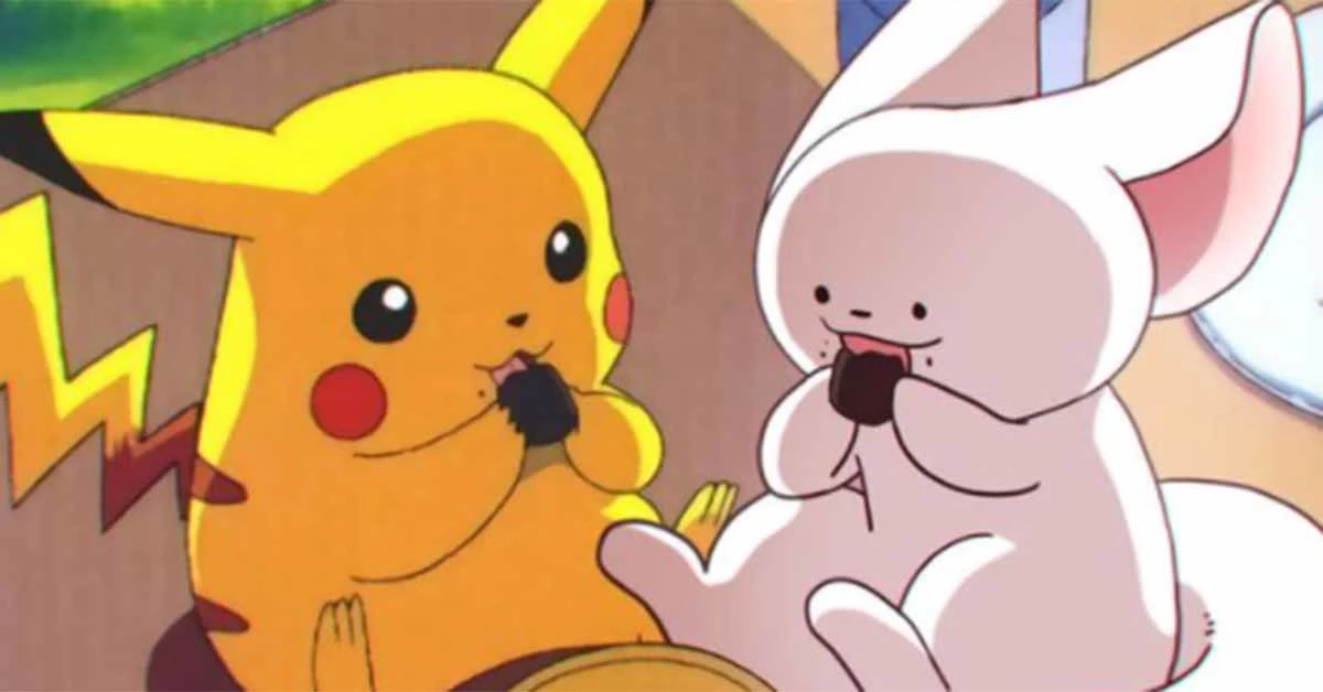 설기 인스타그램