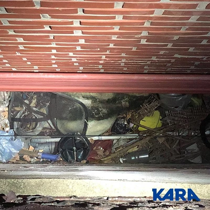 이하 페이스북 '동물권행동 카라'