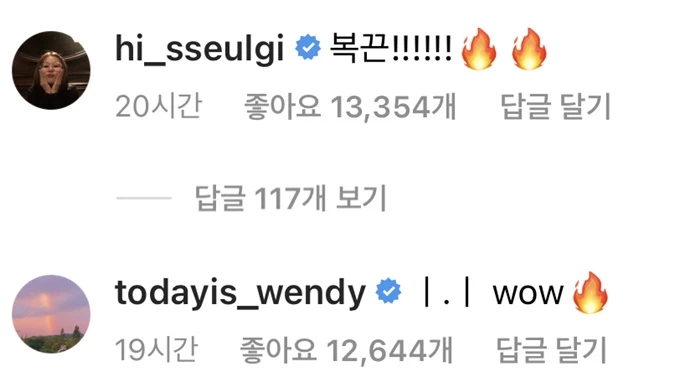 레드벨벳 슬기, 웬디가 남긴 댓글