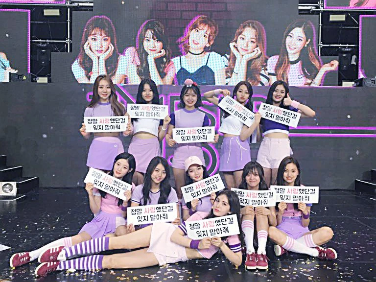 IOI 공식 트위터