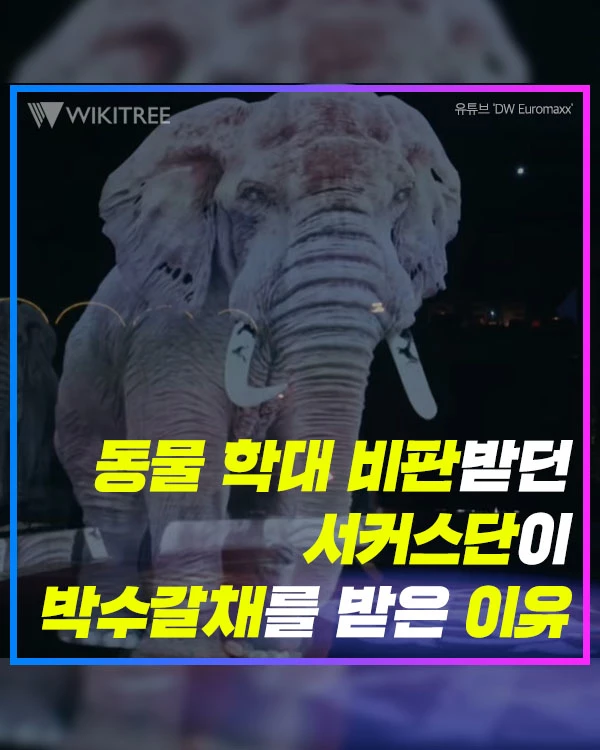동물 학대 비판받던 서커스단이 박수갈채를 받은 이유