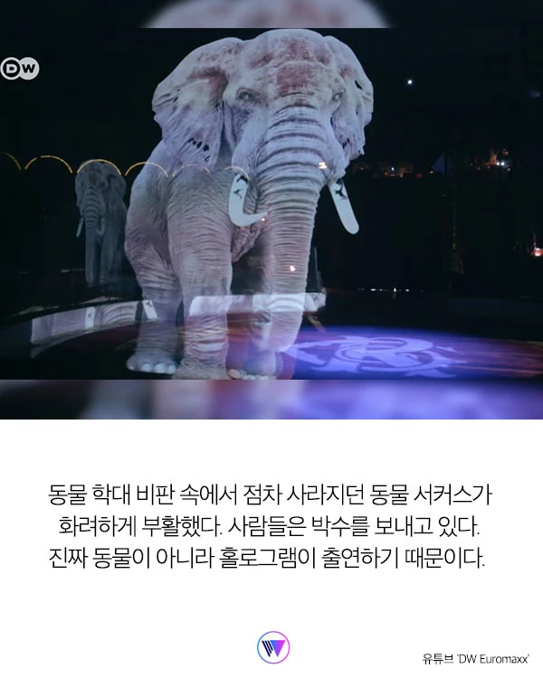 동물 학대 비판받던 서커스단이 박수갈채를 받은 이유