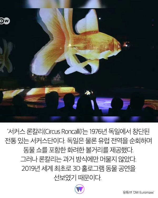 동물 학대 비판받던 서커스단이 박수갈채를 받은 이유