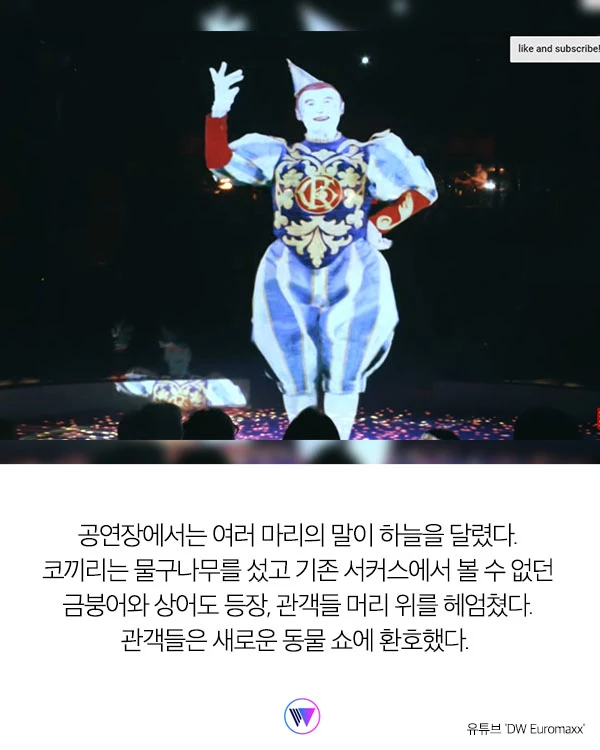동물 학대 비판받던 서커스단이 박수갈채를 받은 이유