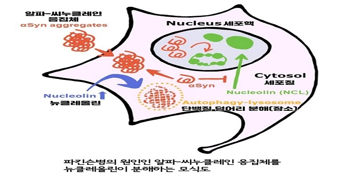 원광대학교 산본병원