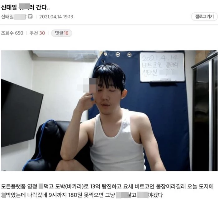 디시인사이드 '비트코인갤러리'