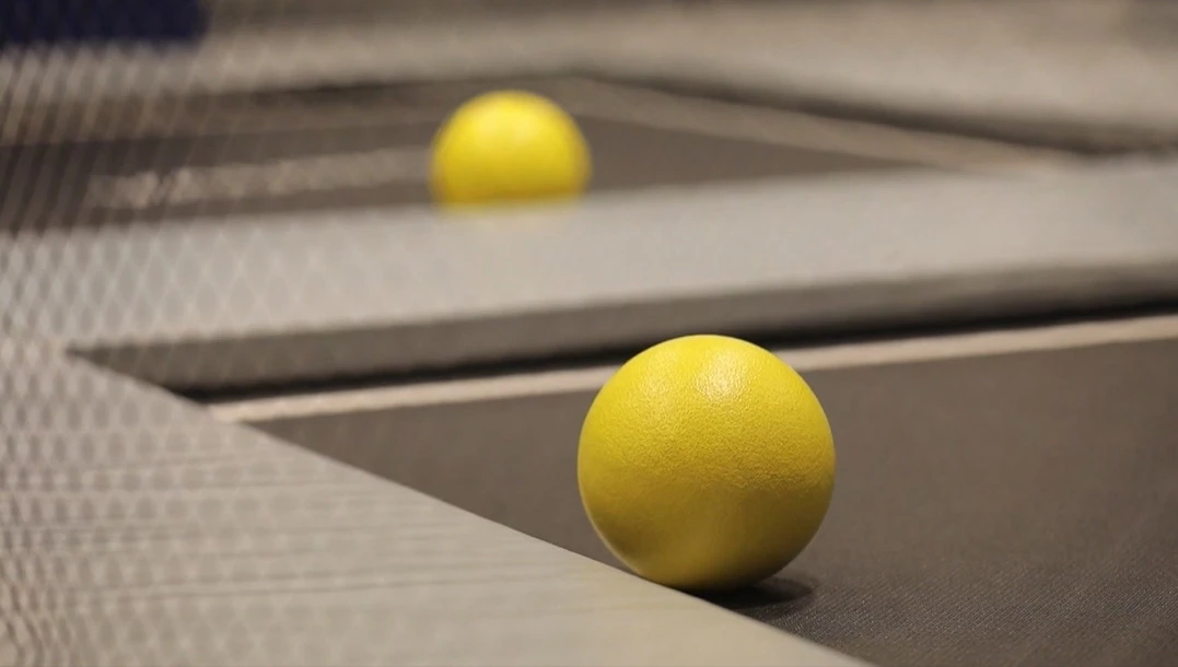 이하 MBC '나 혼자 산다'