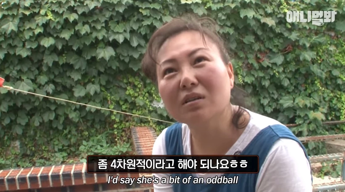이하 유튜브 'SBS TV동물농장x애니멀봐 공식 유튜브 채널입니다!'
