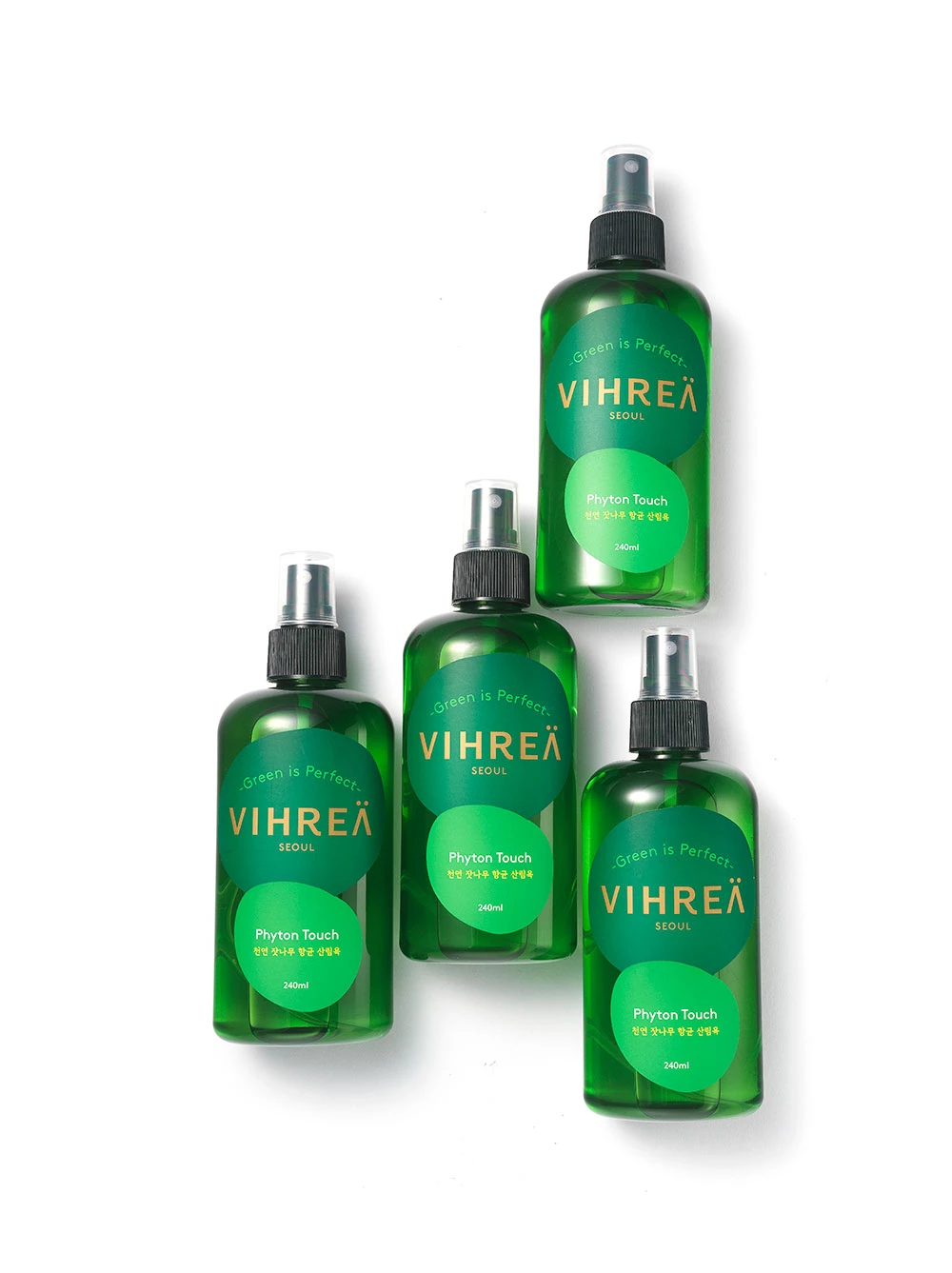 이하 비레아 제공